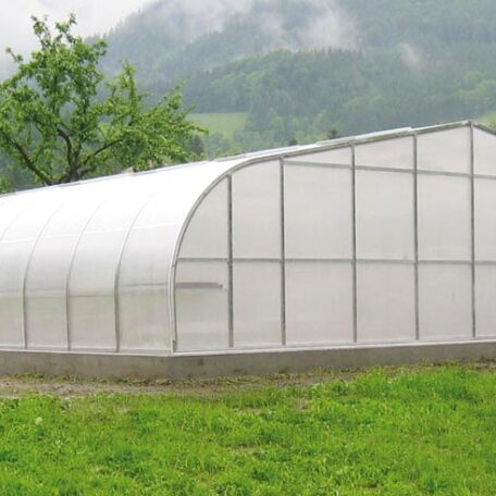 Großes Gewächshaus steht auf grüner Wiese vor einem bewaldeten Hang und grauem Himmel. HANSEL.kraus metalltechnik gmbh
