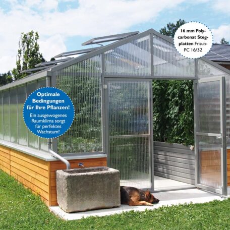 Modernes Gewächshaus aus Glas mit geöffneter Tür, Hund liegt entspannt im Schatten davor. HANSEL.kraus metalltechnik gmbh