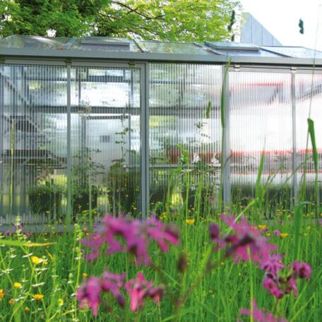 Glashaus mit Blumenwiese und violetten Blüten im Vordergrund bei sonnigem Wetter. HANSEL.kraus metalltechnik gmbh
