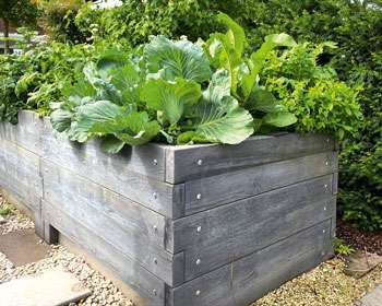 Hochbeet aus Holz mit grünem Gemüse im Garten, ideal für nachhaltigen Gemüseanbau. de HANSEL.kraus metalltechnik gmbh