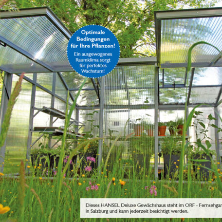 Gewächshaus im Garten mit hohen Gräsern, Pflanzen und Bäumen, optimale Bedingungen für Pflanzenzucht. HANSEL.kraus metalltechnik gmbh