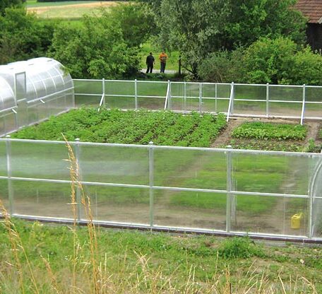 Ein umzäunter Gemüsegarten mit Gewächshaus und grünen Beeten im Freien. HANSEL.kraus metalltechnik gmbh