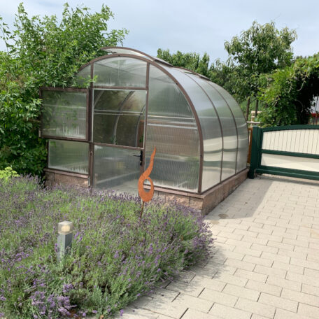 Gewächshaus mit gewölbtem Dach steht neben Lavendelpflanzen an gepflastertem Weg im Garten. de HANSEL.kraus metalltechnik gmbh
