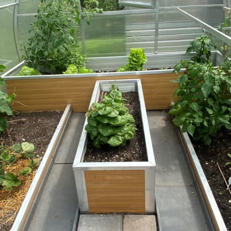 Hochbeete im modernen Gewächshaus mit frischem Gemüse auf einer Gartenbau-Informationsseite. de HANSEL.kraus metalltechnik gmbh