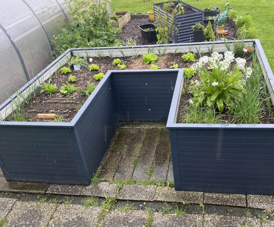 Hochbeet in U-Form mit Salatpflanzen und Blumen auf einer Terrasse im Garten. de HANSEL.kraus metalltechnik gmbh