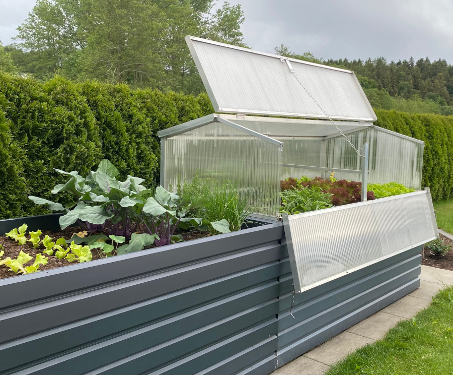 Hochbeet mit Gewächshausaufsatz, verschiedene Gemüse wachsen nebeneinander im Garten. HANSEL.kraus metalltechnik gmbh